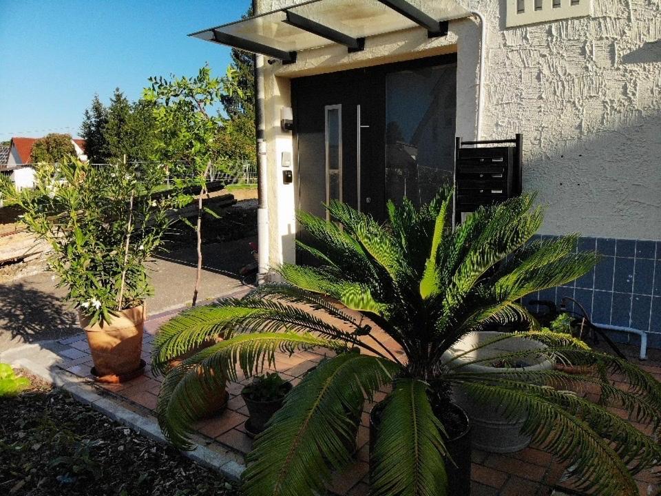 Gemuetliche 3 Zimmer Wohnung Mit Grosszuegiger Terrasse Im Gruenen Ройтлинген Экстерьер фото